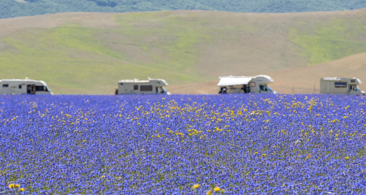 Wohnmobil mieten deutschlandweit mit WOBI – Das fairCamper Portal